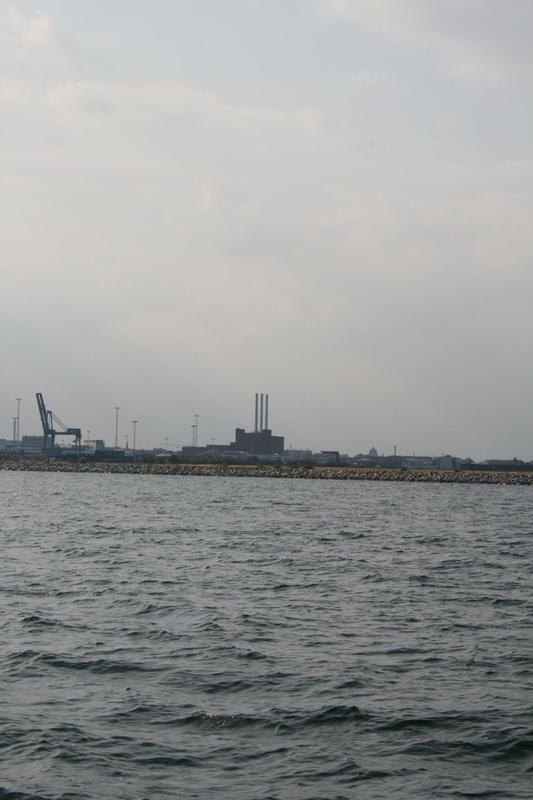 IMG_3996.jpg