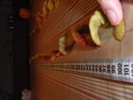 Fog-RIMG0018_1_