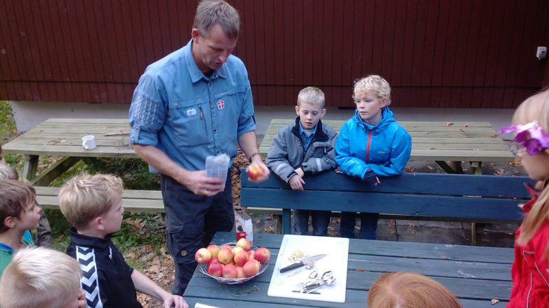 Stig instruerer i æbler på bål