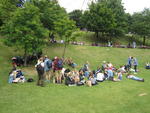 Frokosten nydes i parken