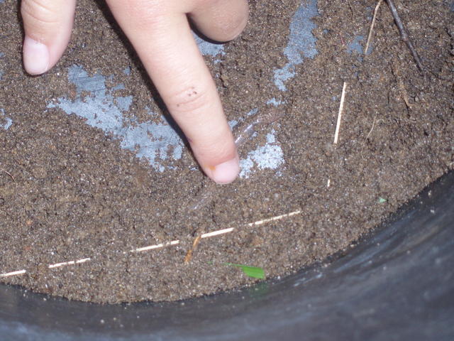 P7290133