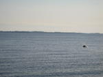 IMG_6081.JPG