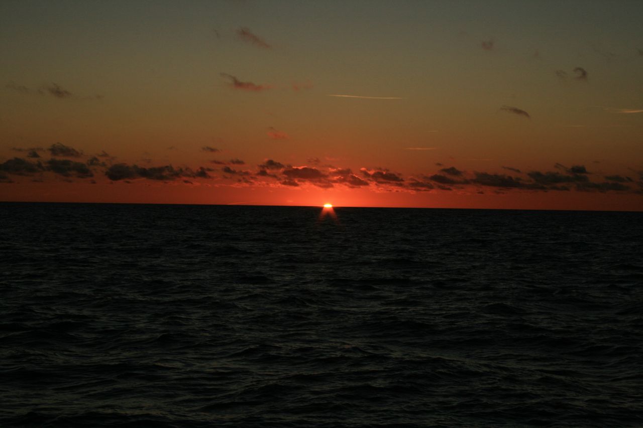 IMG_3818.jpg