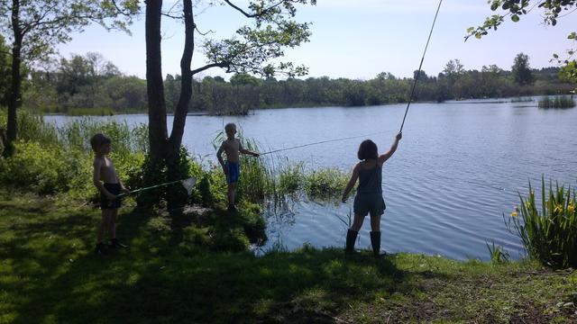 Fiskeri ved søens bred
